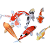Élégant poisson Koi aquarelle design