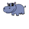 Hippopotamus