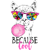 Parce que Cool Llama
