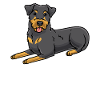 Chien de chasse