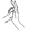 Dog & hand