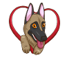 Belgian Malinois Belgian Shepherd Dog