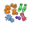Biology Biologist Scientist