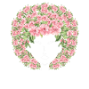 Flowers Afro