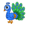 Peacock Bird