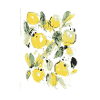Mirabelle Fruits