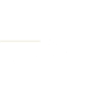 SEMPER FI