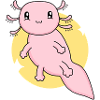 Axolotl