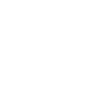 Eagle Head - Royal Vector Bird of Prey