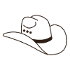 Cowboy Hat