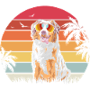 Aussie Australian Shepherd