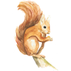 Squirrels