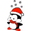 penguin loves Christmas