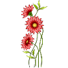 Fleur