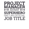 "Project Manager Superhero | Project Manager"