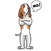 Bracco Italiano Dog