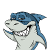 COOL SHARKS #1