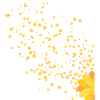 gelbe Blume