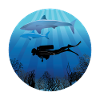 Shark Diving Scuba Diver