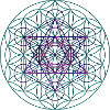 Flower of Life with Metatron Cube 1