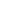 Cobweb