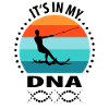 Water skiing Waterskiing Water skiers
