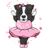 BORDER COLLIE Ballerine