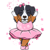 Berner Sennen Ballerina