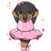 Dachshund Ballerina
