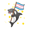 Trans Pride Orca