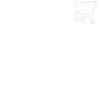 Vaches