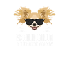 My Chihuahua is the coolest