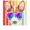 Basenji