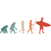Surfing Surfer Retro Evolution