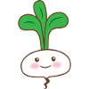 Single white turnip vegetable