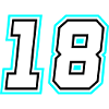 18 number symbol