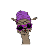 Lama mit Mütze