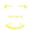 PIERRE PARFAIT - NOM PIERRE
