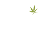 Cannabis