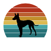 Cirneco Dell Etna Hund Silhouette Vintage Solnedgang for