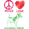 Jack Russel Terrier