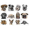Chiens