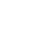 Cheminée Whisperer Ramoneur Ramoneur