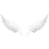 Angel Wings