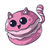 Chat Macaron