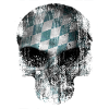 Bavarian skull