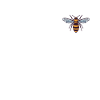 Abeilles apiculteurs - Abeille abeille