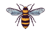 Abeilles apiculteurs - Abeille abeille