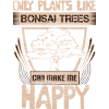 Bonsaï Asie