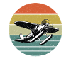 Avion